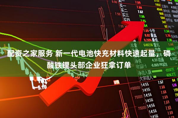 配资之家服务 新一代电池快充材料快速起量，磷酸铁锂头部企业狂拿订单